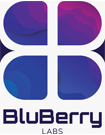 BluBerry Logo
